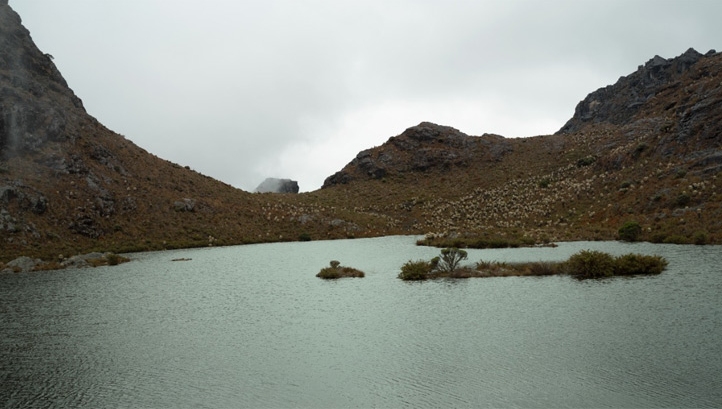 A tale of resilience: The evolution of water stewardship